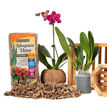 Better-Gro Sphagnum Moss - 100% Natural, Long-Fiber Moss for Orchids, Ferns, and Hostas, Excellent for Hanging Baskets and Propagating Plants - 240 Cubic Inches (Pack of 12) - size: Single (Pack of 12)