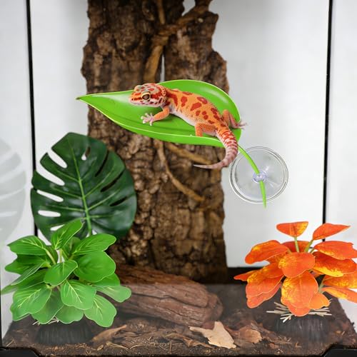 5pcs Crested Gecko Hide Leaf Reptile Wall Climbing Gecko Toy Tank Accessories Including Wall & Dodging Leaves Plastic Reptile Thank Decorations for Turtle Tree Frog Snake Terrarium