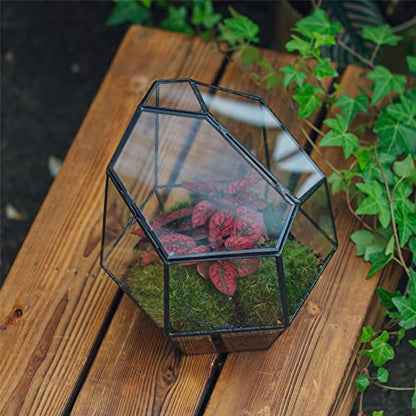 NCYP Handmade 7.5inches Small Close Geometric Terrarium with Door, Black Irregular Glass Planter, Modern Succulent Cacti Flower Pot, Home Garden Decor DIY Gift (Plants and Props NOT Included) - size: 8x7x7.5inches