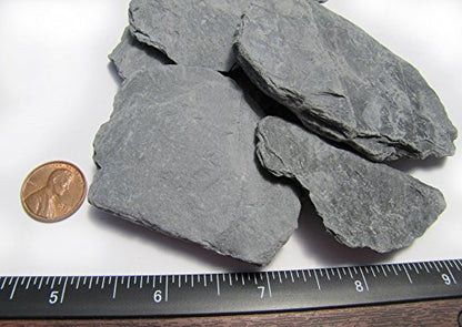 Natural Slate Stone 1 to 3 Inches - USA Sourced and Packaged for Aquascaping Aquariums, Terrariums, Paludariums, Reptile Enclosure, Wargaming, Models, Mosaic Art, Miniature Fairy Gardens (5lbs Grey) - style: 5lbs grey