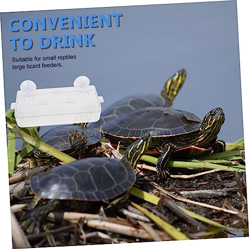 BESPORTBLE 1pc Suction Cup Reptile Feeder Dish Acrylic Food and Water Bowl for Tortoises Lizards and Pets Easy to Clean Feeding Basin for Reptiles
