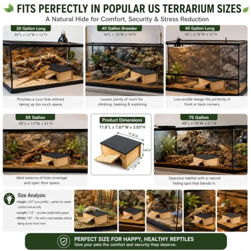 Slate Rock Basking Platform with Hideout Cave for Bearded Dragons and Reptiles