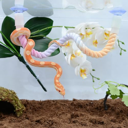 Snake Enrichment, Ball Python Tank Accessories, Gradient Climbing Decoration Rope with Suction Cups, Snake Climbing Accessories, Ball Python Enrichment - size: 80cm