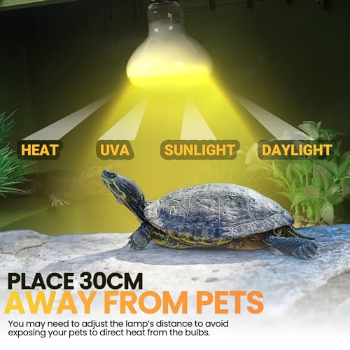 CALPALMY (4-Pack 100W Reptile Heat Lamp Bulbs - UVA Daylight Basking Light Bulbs for Reptiles, Turtles, Lizard, Bearded Dragon and Amphibians - 120V R80 Reflector Bulbs with E26 Screw Cap Base
