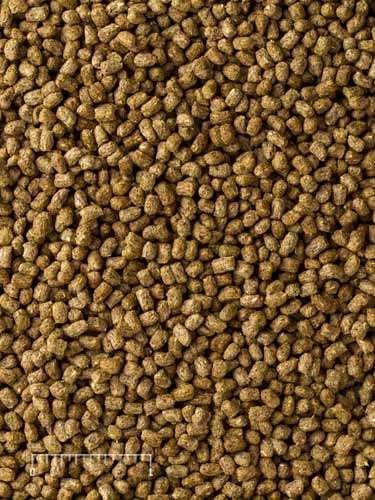 Mazuri | Juvenile Tortoise Food for Baby Tortoises | 8 Ounce (8 oz) Bag (Pack of 2)