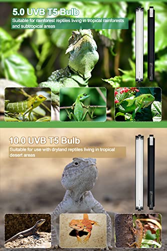 UVB Light for Reptiles, 12 Inch T5 10.0 UVB Reptile Light Fixture 8W, High Output UVA UVB Linear Lamp with Replaceable Bulb for Bearded Dragons, Tortoises & Lizards - size: 12 In