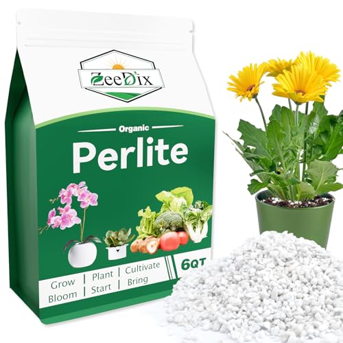 ZeeDix 6QT Organic Perlite Horticulture Soil Amendment for Plants, 3-9mm Granule Size Potted Plant Soil for Orchid Cactus Succulents Carnivorous Monstera Repotting, Indoor Outdoor Gardening - color: Perlite, size: 6 qt