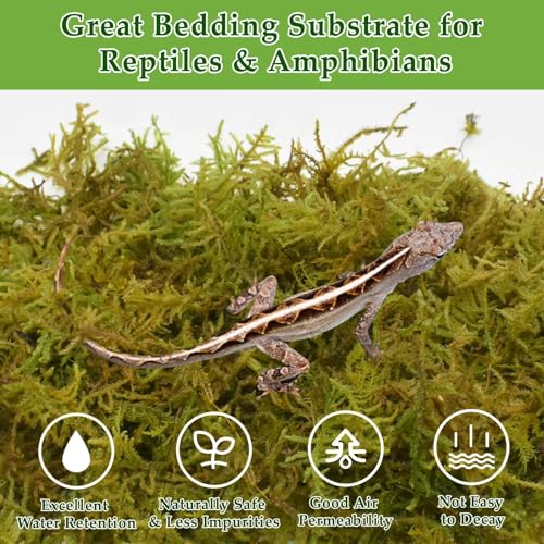 Halatool 1.1LB Sphagnum Moss with 6-Pack Coconut Fiber Substrate for Reptiles, Terrariums, Humidity Retention, Bedding, Nesting & Burrowing