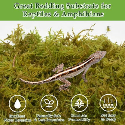 Halatool 1.1LB Sphagnum Moss with 6-Pack Coconut Fiber Substrate for Reptiles, Terrariums, Humidity Retention, Bedding, Nesting & Burrowing