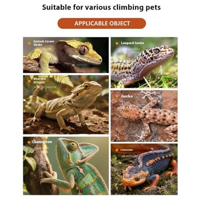 Reptile Basking Ramp | Bearded Dragons Climbing Step Ramp | Height Adjustable Lizard Resting Area for Terrarium Vivarium Tank Enclosure Chameleons Tortoise Frogs Newts Pet Enthusiasts Home Kitchen - color: Gray