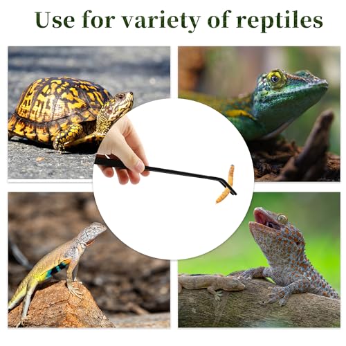 Reptile Feeding Tongs, Stainless Steel Lizard Feeding Tongs, Aquarium Curved Feeding Tweezers for Reptiles with Rubber Tip, Terrarium Feeding Tongs for Gecko, 10.63" Length, Black - size: 10.63"