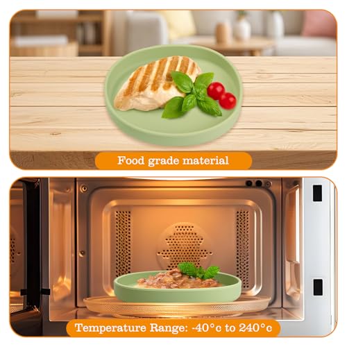 BNOSDM Silicone Dog Food Plate Shallow Dog Bowl Flat Cat Dish 1 Pack Small Puppy Plates for Small Dogs and Cats Whisker Fatigue Pet Feeding Bowls for Dry and Wet Food (Light Grey) - color: 1 Pcs - (Light Grey)