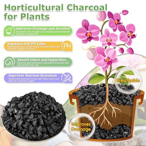 Legigo 2 QT Organic Horticultural Perlite & 2 QT Horticultural Charcoal, Natural Soil Amendment for Superior Drainage, Aeration, and Healthy Root Systems in Indoor Plants, Orchids, Terrariums & Pottin