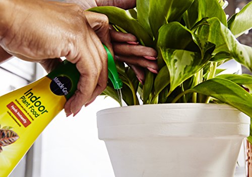 Miracle-Gro Indoor Plant Food, 8 oz. (6-Pack) | Liquid Plant Food for Houseplants, Snake Plants, Peace Lilies, Flowers, Vegetables, Herbs and More - size: 6 Pack