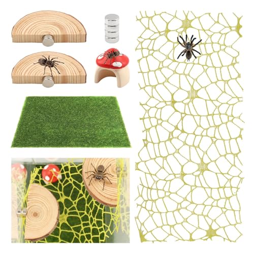 Jumping Spider Accessories Kit – 5 Pcs Set with Mushroom Platforms, and 1 Spider Webs for Climbing, Feeding, and Decorating