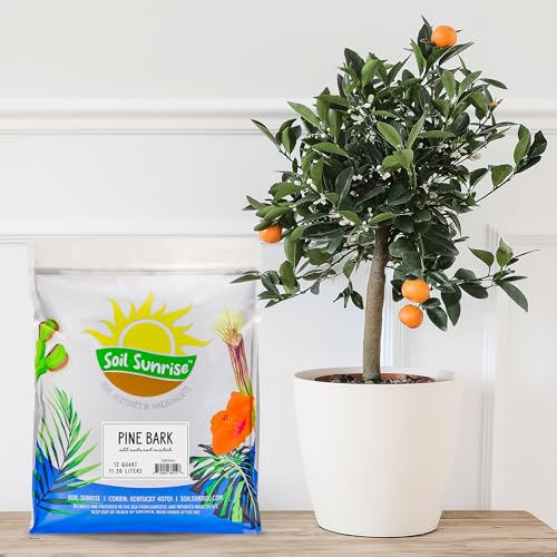 Soil Sunrise 100% Natural Pine Bark Mulch Nuggets (12 Quarts) Small Chips for Indoor/Outdoor Container Gardening, Ideal for Soil Supplement, Houseplant Topper, and Terrariums - size: 12 Quarts