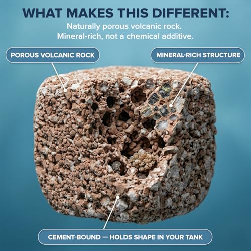EcoBio-Block Natural Volcanic Rock for Aquarium Water Clarity & Balance — Low-Maintenance Alternative to Weekly Additives — for Freshwater Fish, Turtles, Shrimp & Frogs (Nano, 0.8-1.5 gal) - size: 1 Pack, style: Nano