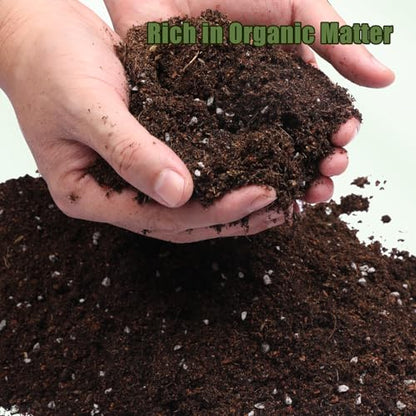 Doter Potting Soil Mix for Fern 2qt, Custom Hand Blended Mixture Suitable for Indoor/Outdoor Potted Fern Plant - size: 2qt
