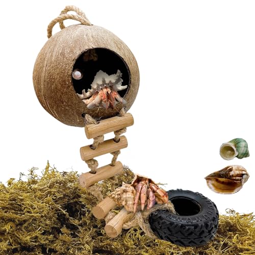 Hermit Crab Coconut Shell Hideout with Climb Ladder,Leopard Gecko Hide Hut with Moss and Sea Shells,Hermit Crab Climbing Tank Accessories for Crested Gecko,Reptiles - color: Brown, size: Coconut Shell:5.3in