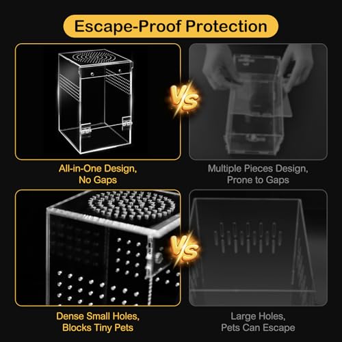 Jumping Spider Enclosure Starter Kit,Escape Proof Forest Terrarium | Praying Mantis Terrariums,Transparent Acrylic Complete Bug Habitat,All In One Arboreal Tarantula Cribs Cage,Insect Container - size: Large