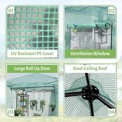 Greesum 6x4 FT Portable Small Greenhouse with PE Cover, Zippered Door and 2 Roll-up Windows, Easy Assemble(Green) - style: 6X4 FT