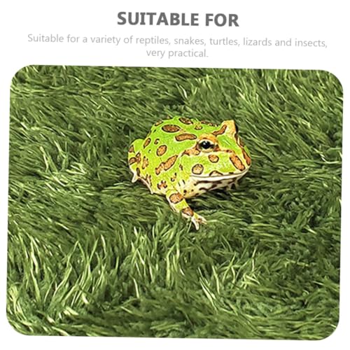 Reptile Moss Carpet Cushion for Horned Frogs Tortoise Habitat Premium Easy to Install Adaptable for Various Terrariums Decorative Fake Lawn Mat