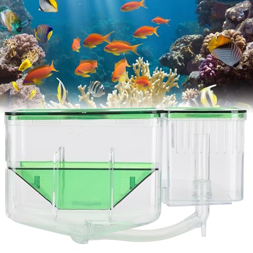 Fish Breeder Box for Aquarium — Double Chamber Hang-On Fry Isolation Box for Betta, Guppy & Livebearers | Feeding Hole | Clear View | Fits Most Fish Tanks