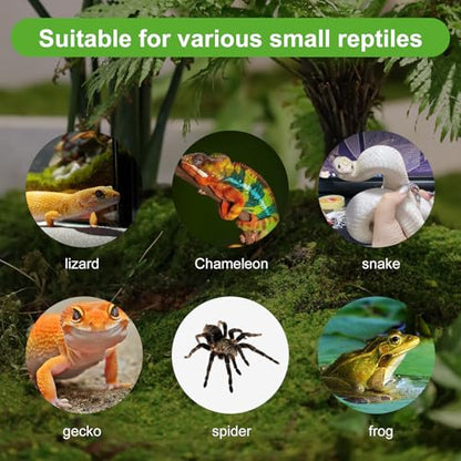 9 Pcs Crested Gecko Food and Water Bowl Small Reptile Food Dish Reusable Silicone Reptile Feeding Cup Gecko Feeder Corner Water Bowl Habitat Tank Starter Accessories for Hermit Crab Tarantula Isopods