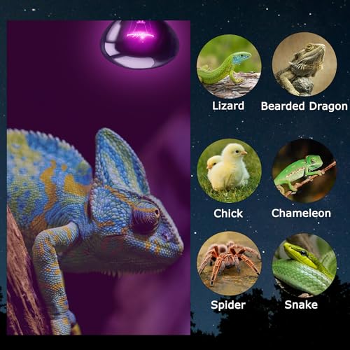 60W Reptile Night Light Bulb, Purple UVA Heat Lamp with Simulated Moonlight Effect, Night Basking Lamp for Bearded Dragons, Lizards, Snakes & Amphibians, Terrarium & Aquarium Use, 2 Pack - color: Moonlight Heat Lamp, size: 60W - Gen2 - R63