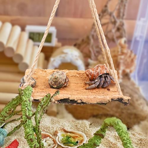 Oooct Hermit Crab Climbing Toy, Natural Wooden Reptile Swing Toy, Pet Cage Tank Aquarium Accessories for Hermit Crab Lizard Chameleon Hamster Guinea Pig Chinchilla Bird Parrot - size: Medium-7.8 × 5.9 Inch
