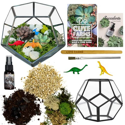 Cute Farms Glass Terrarium Kit | Just Add Your Own Plants (Geometric Glass) - style: Geometric Glass