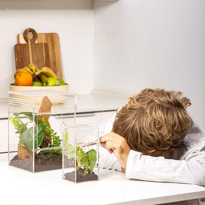 EctoTherm Jumping Spider Enclosure - for Habitat, Terrarium Kit and Arboreal Tarantula Enclosure - size: Small/Medium