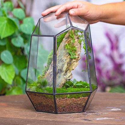 NCYP Close Geometric Glass Terrarium with Door - 9.8 inches Tall Irregular Planter for Succulents, Small Cacti, Modern Home Garden Tabletop Decor, Black, Handmade (Plants NOT Included) - size: 7.9x6.9x9.8inches