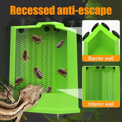 DONGKER Bearded Dragon Feeder,Anti-Escape Lizard Corner Terrarium Bowl with Suction Cups for Lizard Bearded Dragon Gecko Frog