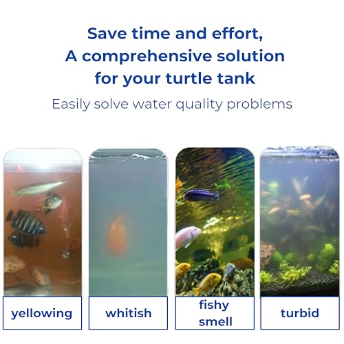 Square Turtle Feeding Ring with Suction Cup and 4 Pcs Nitrifying Balls Set, Fish Food Holder and Aquatic Toys for Turtles Tortoise Goldfish Guppy Koi Puffer, Aquatic Turtle Tank Accessories (Square)