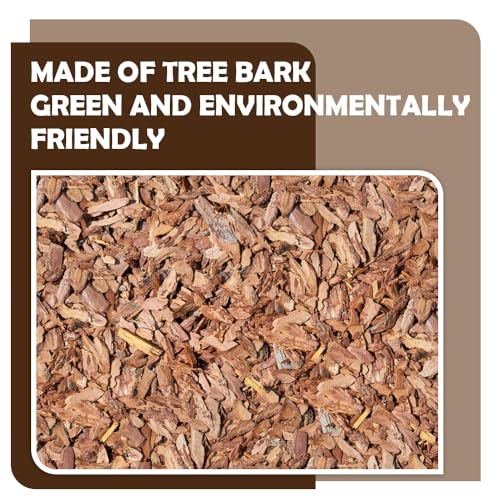 DQITJ 2 Pack Reptiles Climbing Branch Natural Tree Frog Cork Wood Stick Cork Branch for Frog Snake Lizard Bearded Dragon Chameleon