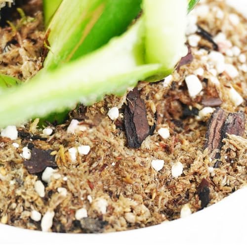 2 Quart Monstera Soil, Well-Draining, Moisture-Retentive and Slightly Acidic Potting Soil Mix for Growing and Repotting Monstera Deliciosa/Swiss Cheese Plant