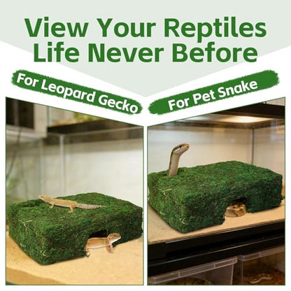 M Size Green Moss Reptile Cave, Safe Hide for Snakes & Geckos | Natural green moss finish, Smooth rounded entry edge, Handcrafted durability - color: M Green