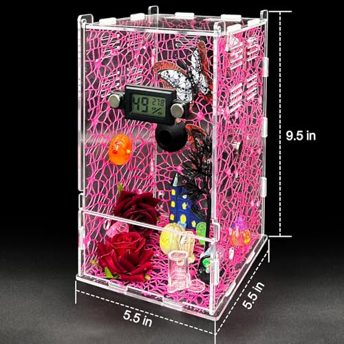 Jumping Spider Enclosure,DIY Insects Habitat,Small Reptile Terrarium Glass House Accessories Set,with Temperature and Humidity Detector Water Feeder Platform Hide,5.5“x5.5”x9.5“ (Pink) - color: Pink