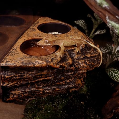 Gecko Feeding Ledge, Magnetic Hanging Reptile Food Dish with 2 Feeding Bowl, for Bearded Dragon Snake Lizard Gecko Ledge