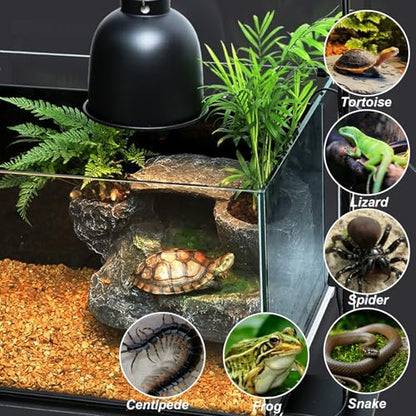 Reptile Lamp Stand Detachable & Extendable Metal Aquarium Light Riser with Hook and Stand Width Height Adjustable for Amphibian Terrarium Aquarium Tank|Terrarium Heat Lamps Mats
