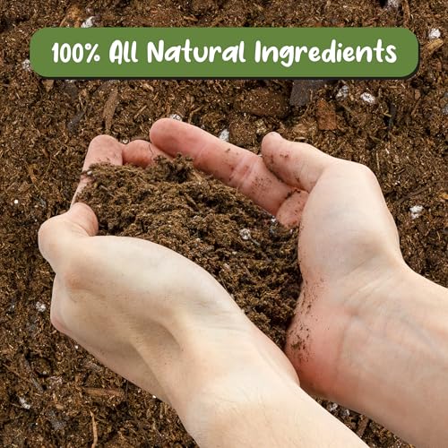 Soil Sunrise Anthurium Plant Potting Soil Mix (4 Quarts) Indoor Houseplant Custom Blend for Flowering Anthuriums - size: 4 Quarts