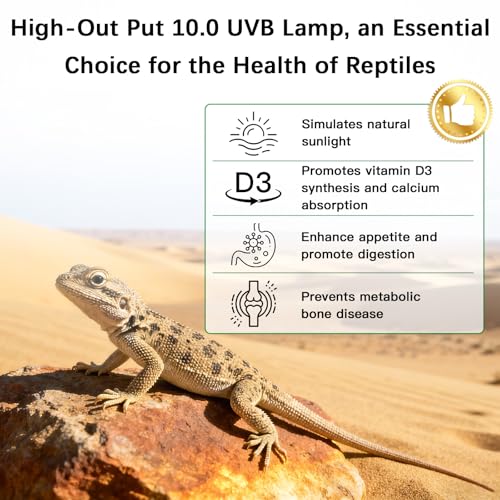 T5 10.0 UVB Reptile Light Fixture Combo Kit, 24W High Output UVA UVB Light with Upgraded Wider Alloy Reflector for Bearded Dragons Lizards Tortoises and Other Desert or Tropical Reptiles (22.7Inch) - size: 22.7Inch