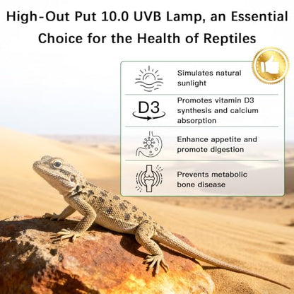 T5 10.0 UVB Reptile Light Fixture Combo Kit, 24W High Output UVA UVB Light with Upgraded Wider Alloy Reflector for Bearded Dragons Lizards Tortoises and Other Desert or Tropical Reptiles (22.7Inch) - size: 22.7Inch