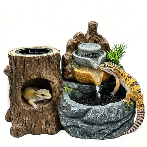 PurifyLogix 3 in 1 Reptile Water Fountain with Food Dish & Hideout, 550ML Reptile Waterfall Drinking Fountain, Reptile Water Dispenser for Bearded Dragon, Gecko, Lizard, Chameleon, Natural Resin