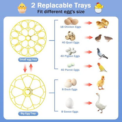 18-36 Eggs Incubators for Hatching Eggs with Automatic Egg Turning and Humidity Control, for Chicken, Duck, Quail, Goose, Parrot Eggs - 360° View for Farm, Classroom, Home Use