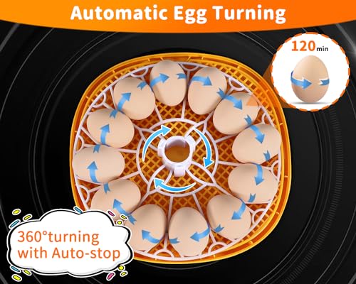 Gpeng Egg Incubator, 12 Eggs Incubator with Auto Egg-Turning, Auto Temperature Control, for Hatching Chicken Goose Pigeon Quail Duck - size: 12-Eggs