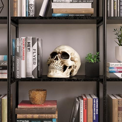 READAEER Life Size Resin Skull, Large Size Adult Skull Head Model for Home Decoration, Halloween Skull Statue, Human Skull Head Model (White)