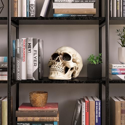 READAEER Resin Skull, Human Head Model for Home Decoration, Halloween Statue, Skull Model for Bookshelf and Desktop (White)
