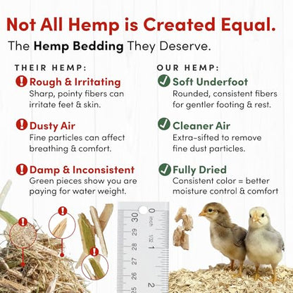 RentACoop Extra-Soft Premium Hemp Bedding 300L – Super Absorbent, Low Dust, Natural Odor Control for Chicken Coops, Nest Boxes, Small Animals, Reptiles & Horses
